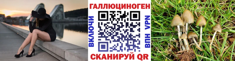 где можно купить   Красноуральск  Псилоцибиновые грибы Cubensis 